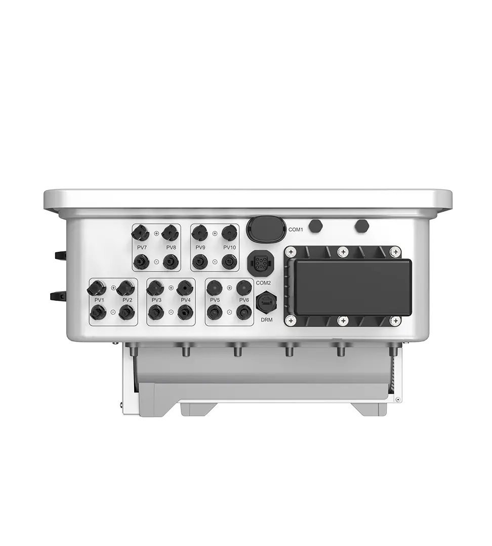 S6-GC3P(23-36)K-LV-ND